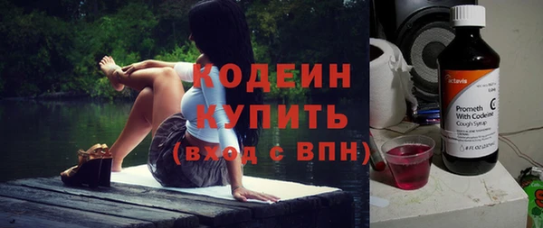 мдпв Каменка