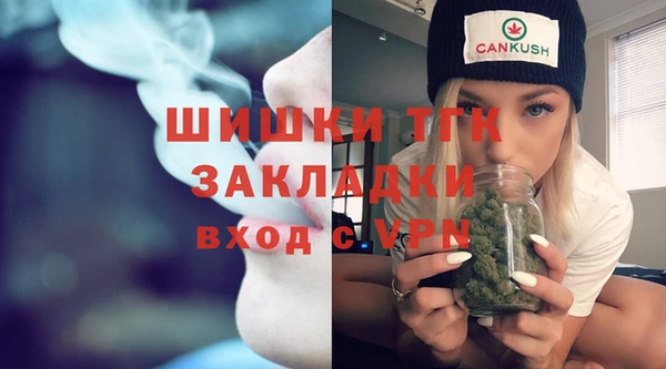 мдпв Каменка