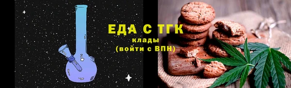 мдпв Каменка