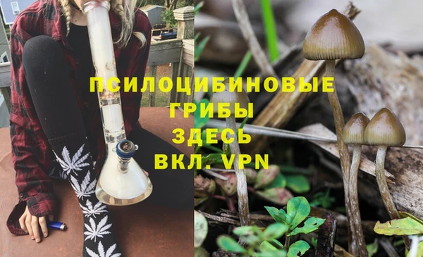 МДМА Каменногорск