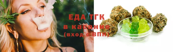 мдпв Каменка