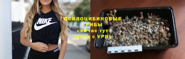 МДПВ Каменск-Шахтинский