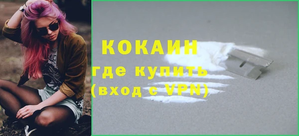 мдпв Каменка