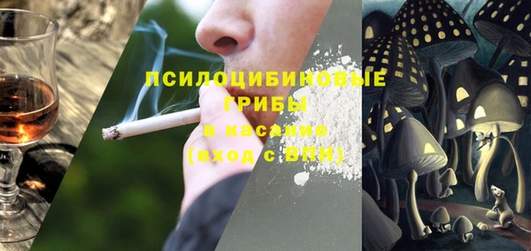 мдпв Каменка