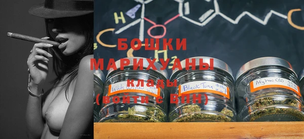 мдпв Каменка