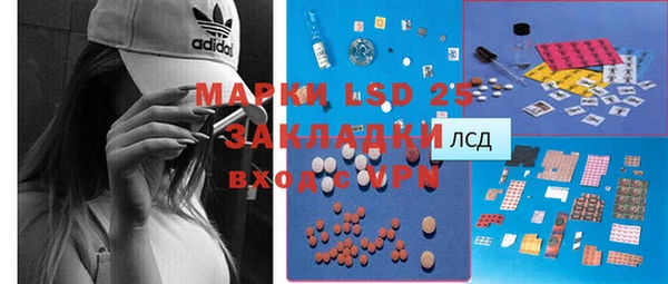 мдпв Каменка