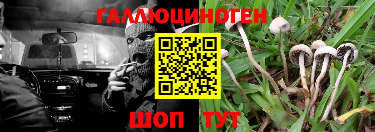 Псилоцибиновые грибы GOLDEN TEACHER Мелеуз