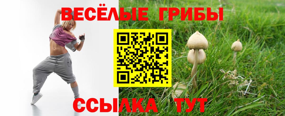 Псилоцибиновые грибы Psilocybe  Вход с VPN  Псилоцибиновые грибы прущие грибы  Мелеуз 