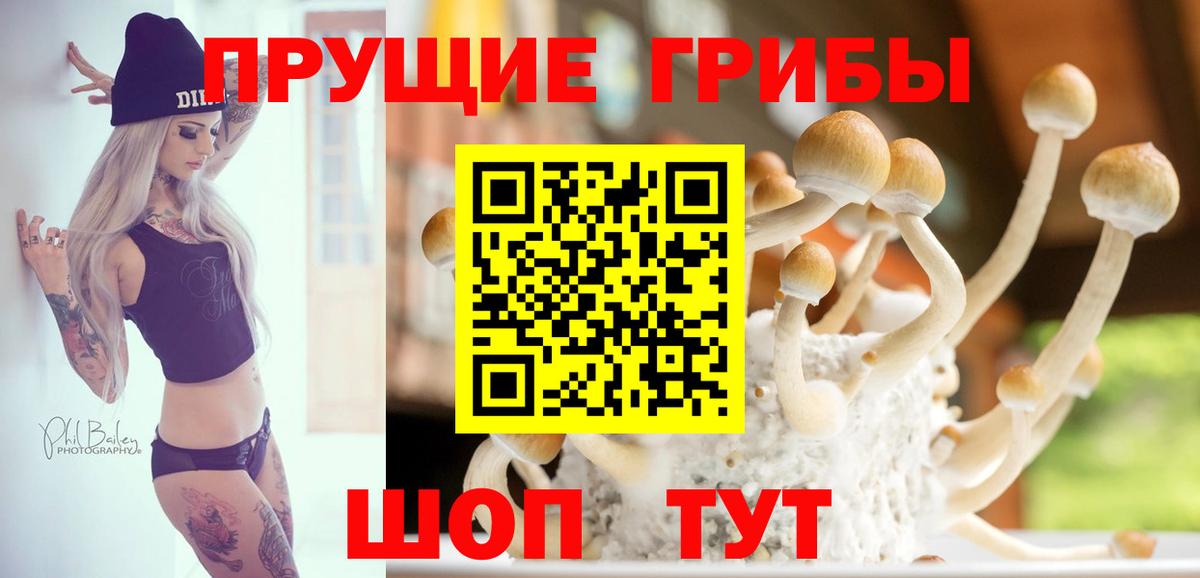 Галлюциногенные грибы мухоморы  цена наркотик  Мелеуз 